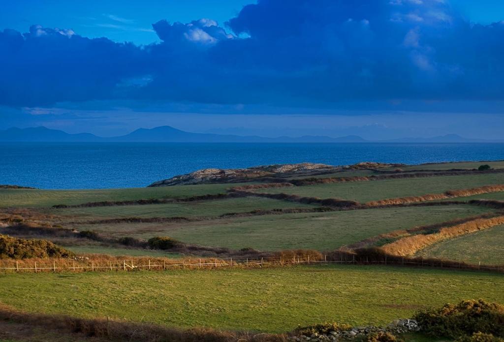 Blackthorn Farm Bed & Breakfast Holyhead Eksteriør bilde