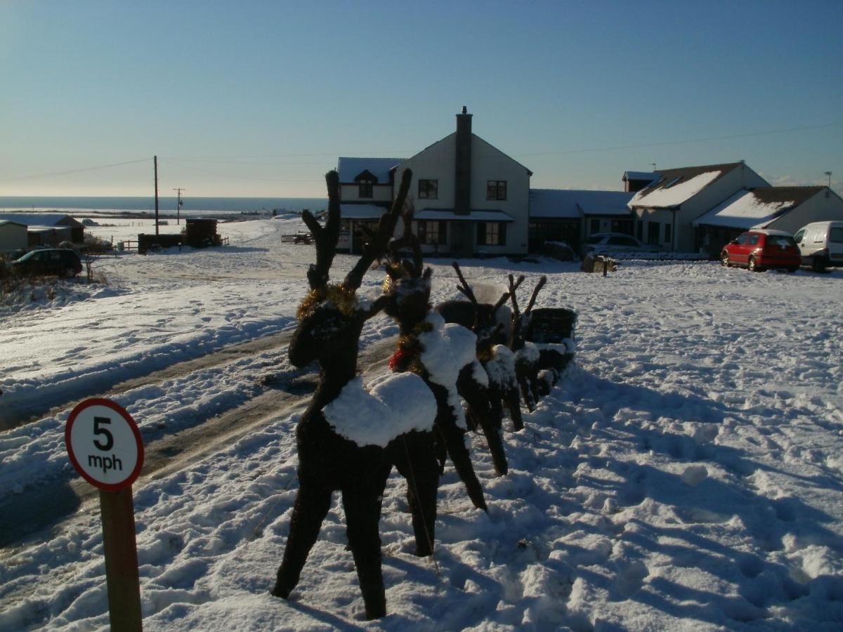 Blackthorn Farm Bed & Breakfast Holyhead Eksteriør bilde